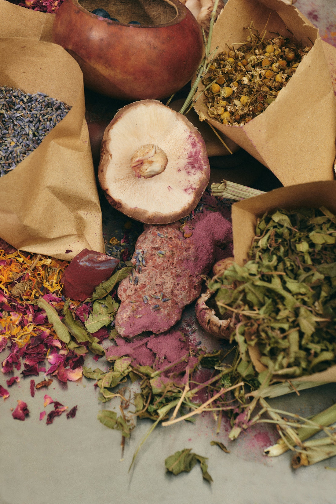 Unlocking Nature's Secret: The Power of Adaptogens for Mind and Body Wellness